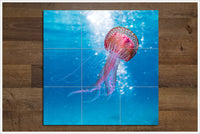 Pink Jellyfish -  Tile Mural