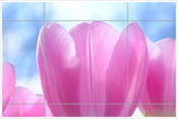 Pink Flower Tulips -  Tile Mural