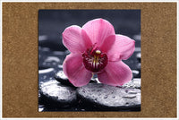 Pink Orchid on River Rocks -  Tile Accent