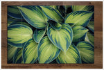 Plant Leaves -  Tile Mural