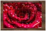 Red Rose with Water Drops -  Tile Mural