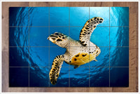 Sea Turtle Above -  Tile Mural
