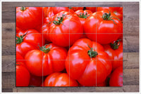 Tomatoes -  Tile Mural
