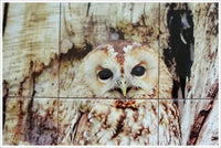 Tree Owl Ceramic Tile Map
