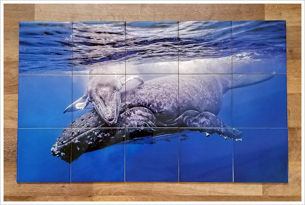 Whale and Calf -  Tile Mural
