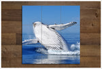 Whale Breach -  Tile Mural