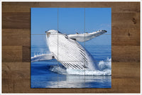 Whale Breach -  Tile Mural